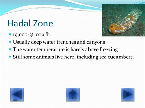 Operation Hadal 2025 Dow𝚗load In Different Formats
